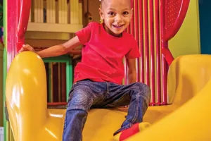 Treehouse Slide 1 1