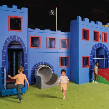 Fort 1 1